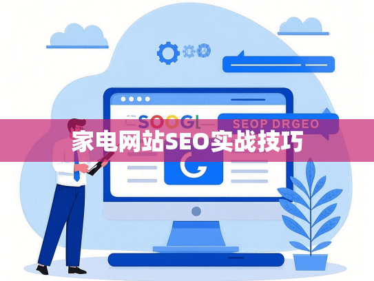 家电网站SEO实战技巧