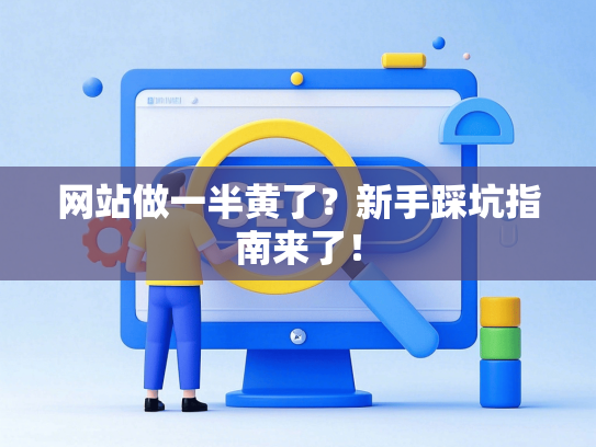 网站做一半黄了？新手踩坑指南来了！