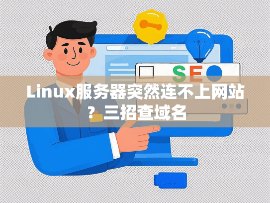 Linux服务器突然连不上网站？三招查域名