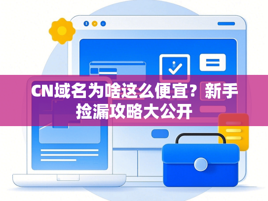 CN域名为啥这么便宜？新手捡漏攻略大公开