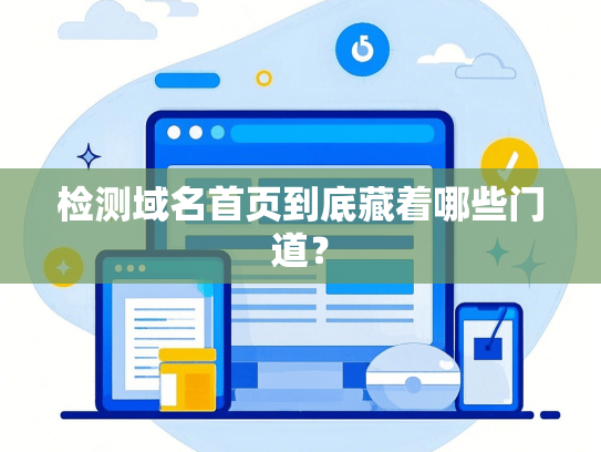 检测域名首页到底藏着哪些门道？-第1张图片