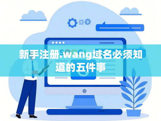 新手注册.wang域名必须知道的五件事