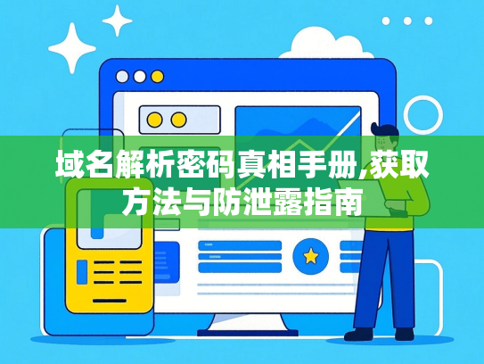 域名解析密码真相手册,获取方法与防泄露指南