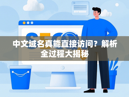 中文域名真能直接访问？解析全过程大揭秘